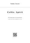 Cover Celtic Spirit