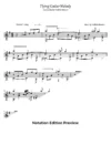 Flying Guitar Melody Score